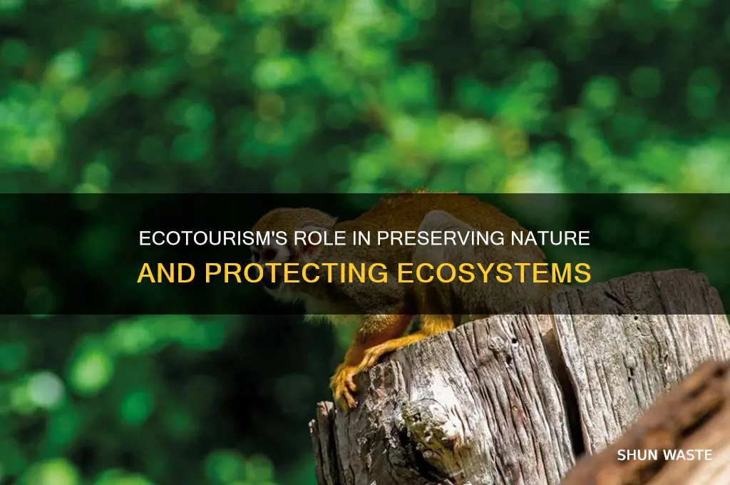 how will ecotourism help in conserving the natural environment