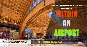 Airport Externalities: Environmental Impacts and Sustainable Solutions for Aviation