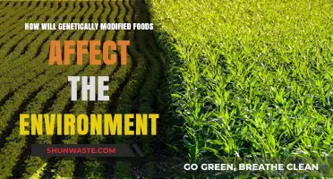 Genetically Modified Foods: Environmental Impact and Future Implications