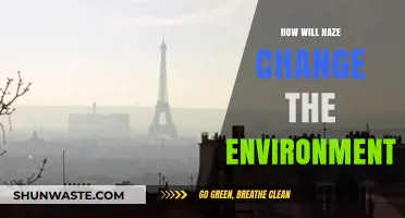 Haze's Impact: Unveiling Environmental Changes and Long-Term Consequences