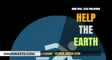 A Greener Earth: Less Pollution's Impact