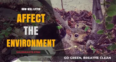 Litter's Devastating Impact: How Trash Destroys Ecosystems and Wildlife