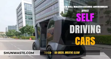 Macroeconomic Shifts: Impact on Self-Driving Car Adoption and Innovation