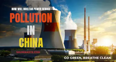 Nuclear Power: China's Clean Energy Solution