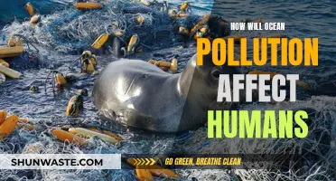 Ocean Pollution: Impacting Human Health and Our Future