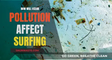 Surfing's Future: Ocean Pollution's Impact on the Sport