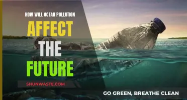 Ocean Pollution: Future Impact and Concerns