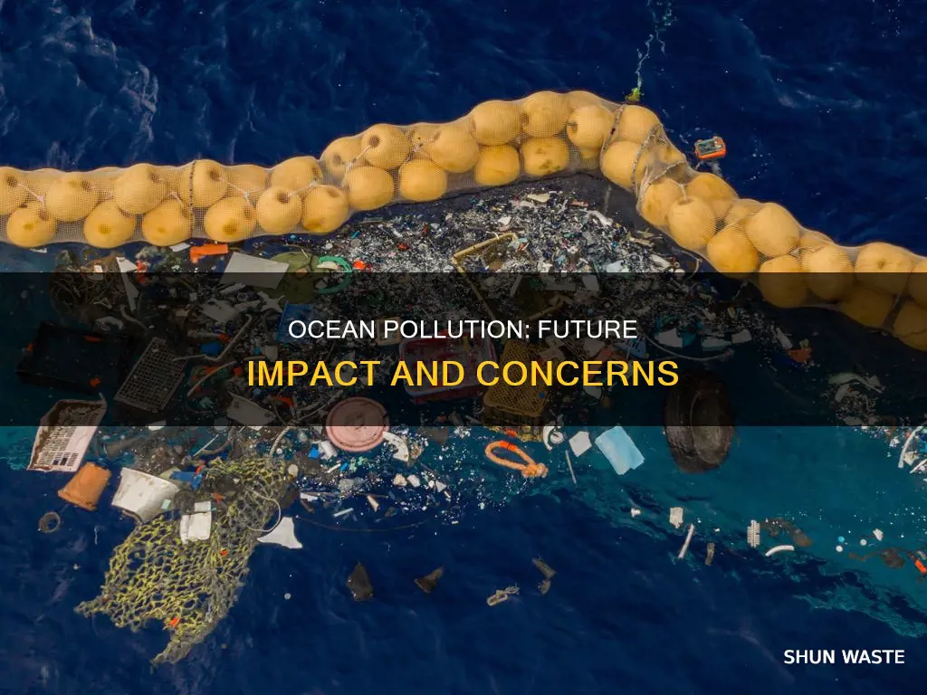 how will ocean pollution affect the future