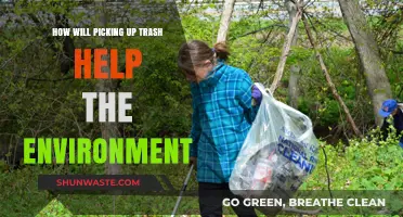 Picking Up Trash: Simple Acts, Big Impact on Our Environment