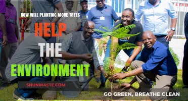 Planting Trees: A Powerful Solution for Environmental Restoration and Sustainability