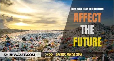 The Future of Plastic Pollution: Impact and Consequences