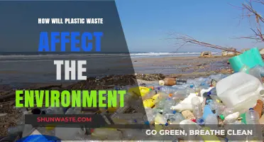 Plastic Waste Crisis: Devastating Environmental Impacts and Urgent Solutions Needed