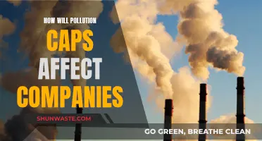 Pollution Caps: Impact on Companies' Future Operations and Strategies