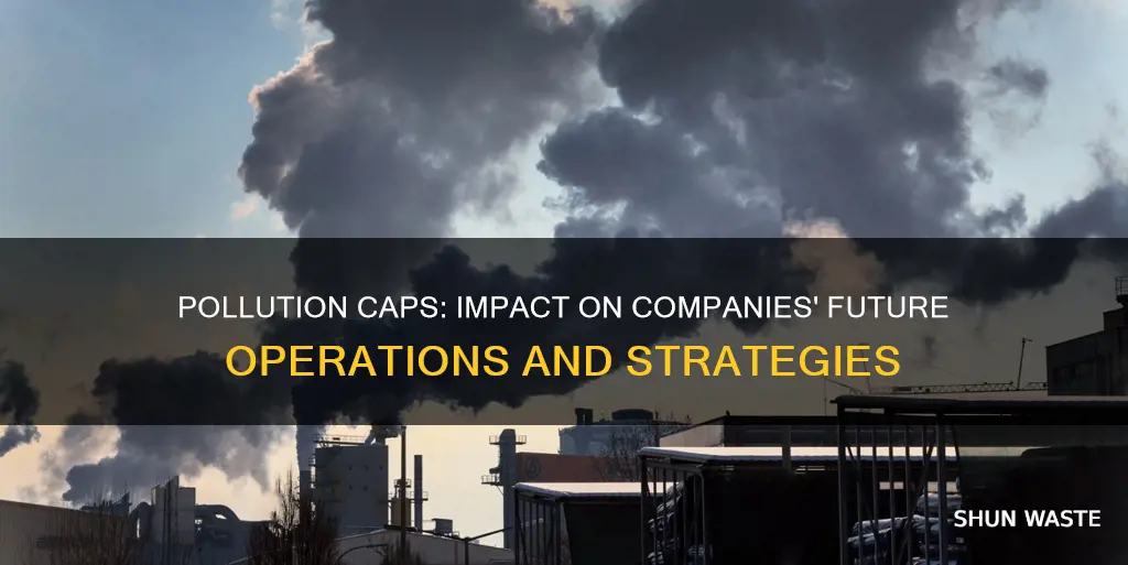 how will pollution caps affect companies