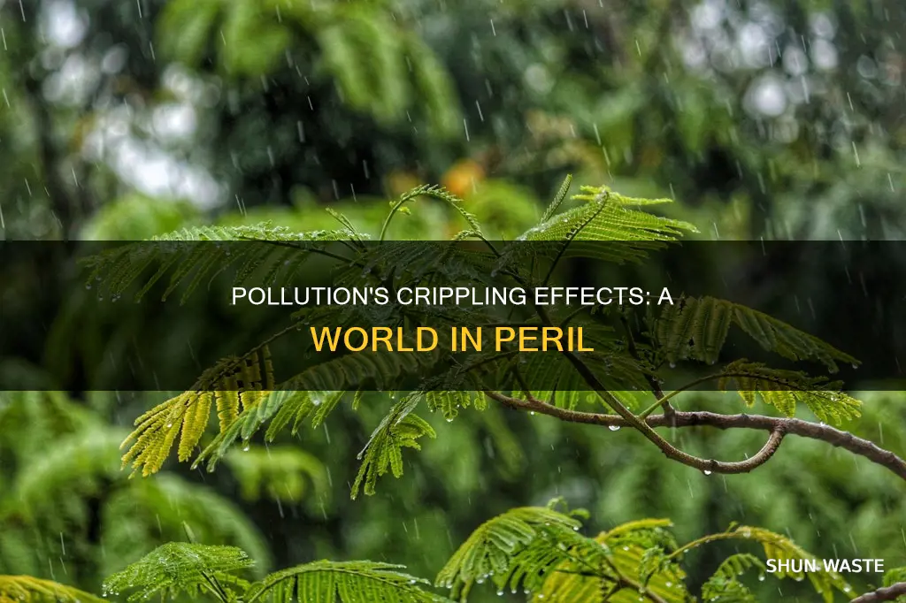 how will pollution cripple the world