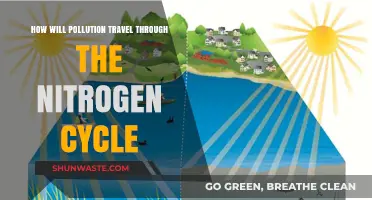 The Nitrogen Cycle: Pollution's Journey and Impact