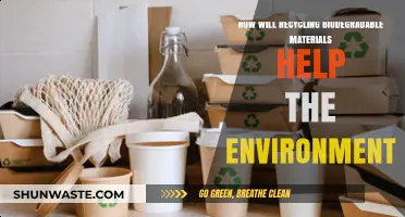Recycling Biodegradable Materials: A Sustainable Solution for Environmental Preservation