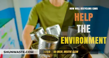 Recycling Cans: A Simple Step Towards a Greener, Healthier Planet