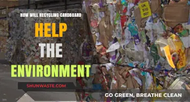 Recycling Cardboard: A Simple Step Toward a Greener, Healthier Planet