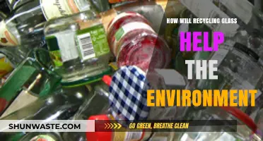 Recycling Glass: A Sustainable Step to Protect Our Environment