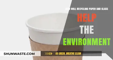 Recycling Paper and Glass: Sustainable Steps to Protect Our Environment