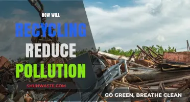 Recycling: Pollution Solution and Environmental Revolution