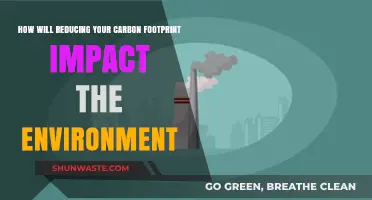 Reducing Your Carbon Footprint: A Powerful Step Toward Environmental Healing