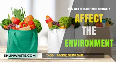 Reusable Bags: A Sustainable Shift to Reduce Environmental Impact