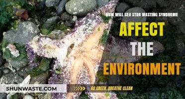 Sea Star Wasting Syndrome: Environmental Impacts and Ecosystem Consequences