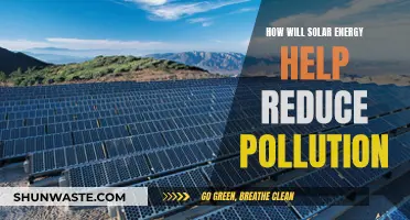 Solar Power: Pollution Solution and Energy Revolution