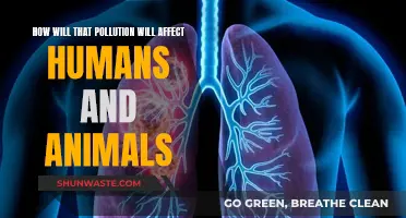 Pollution's Impact: Humans and Animals at Risk