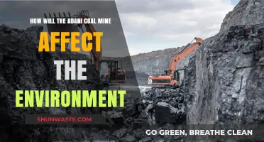 Adani Coal Mine's Environmental Impact: Concerns, Consequences, and Future Risks