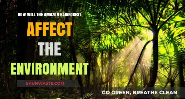 Amazon Rainforest's Impact: Shaping Global Climate and Biodiversity