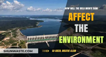 Belo Monte Dam's Environmental Impact: A Comprehensive Analysis