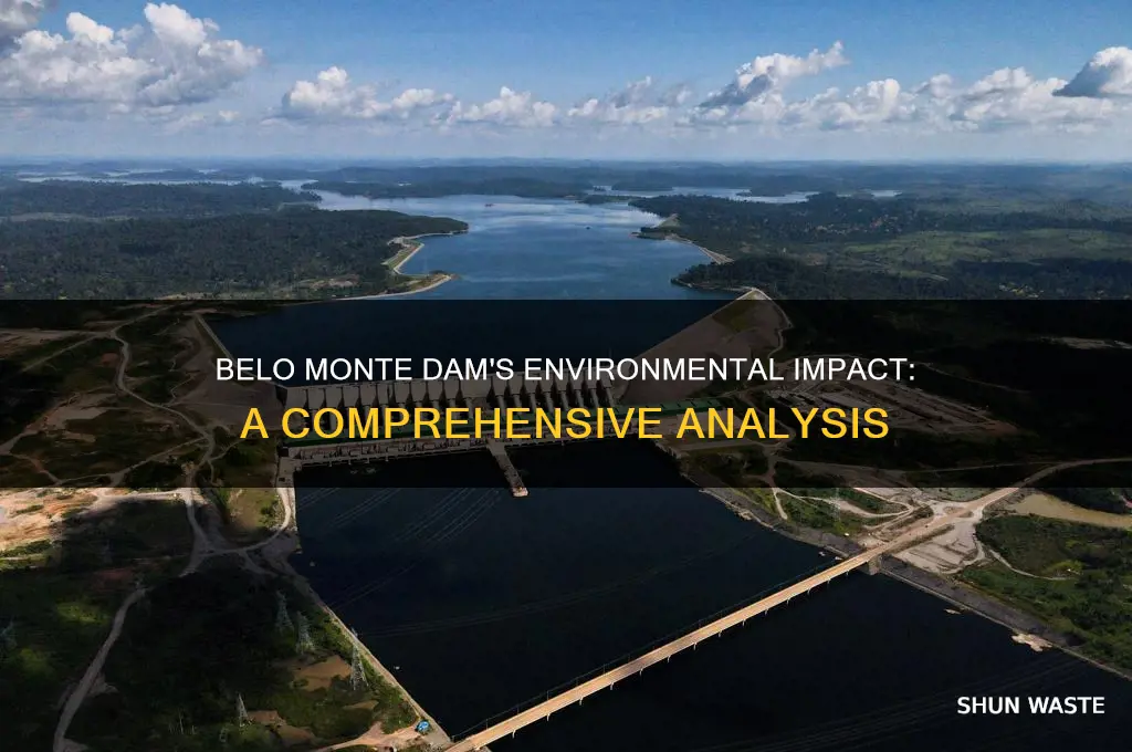 how will the belo monte dam affect the environment