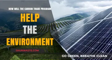 Carbon Trade Programs: A Powerful Tool for Environmental Sustainability