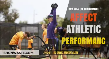 Environmental Factors: Impact on Athletic Performance and Training Strategies