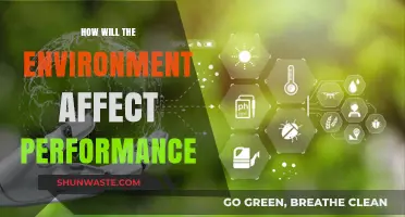 Environmental Factors Shaping Performance: Insights and Strategies for Optimization