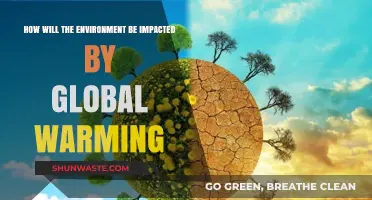 Global Warming's Devastating Effects: Unraveling the Environmental Consequences Ahead