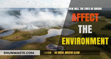 Siberian Wildfires: Environmental Impacts and Global Climate Concerns Explored