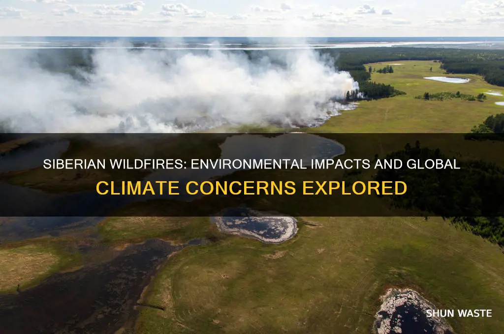 how will the fires in siberia affect the environment