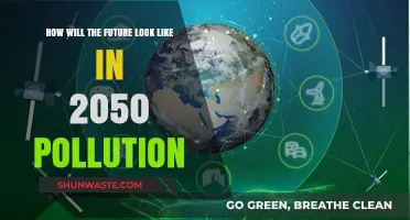 The World in 2050: Pollution's End Game