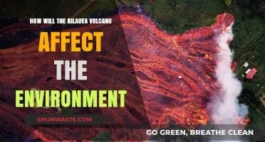Kilauea's Eruption: Environmental Impacts and Long-Term Ecological Consequences
