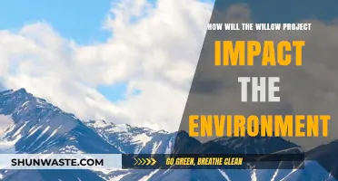 Willow Project's Environmental Impact: Assessing Risks, Benefits, and Long-Term Effects