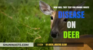 Testing Deer for Chronic Wasting Disease: Methods and Procedures