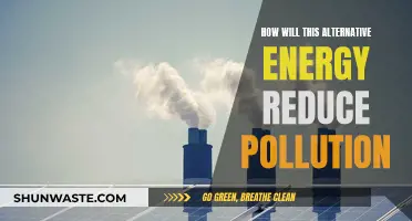 Alternative Energy: Pollution Solution or Future Promise?