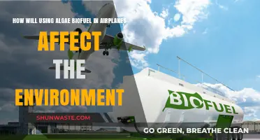 Algae Biofuel in Aviation: Environmental Impact and Sustainability Potential