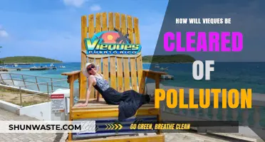 Vieques: Cleaning Nature's Paradise