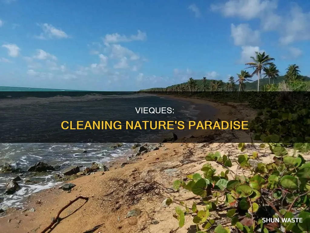 how will vieques be cleared of pollution