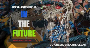 Future Consequences: How Growing Waste Crisis Threatens Our Tomorrow
